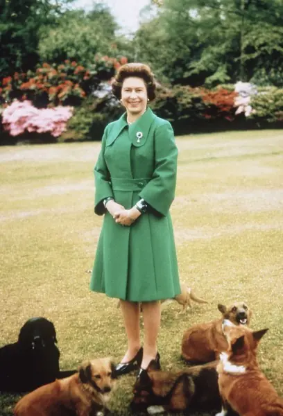 La exclusiva dieta de los perros de la reina Isabel II