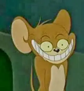 el gato so vo