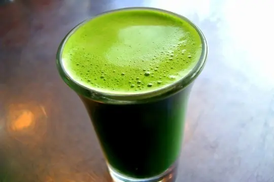 bebidas
