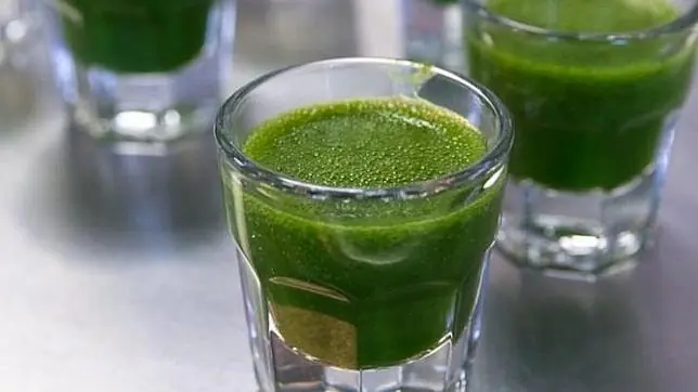 jugo