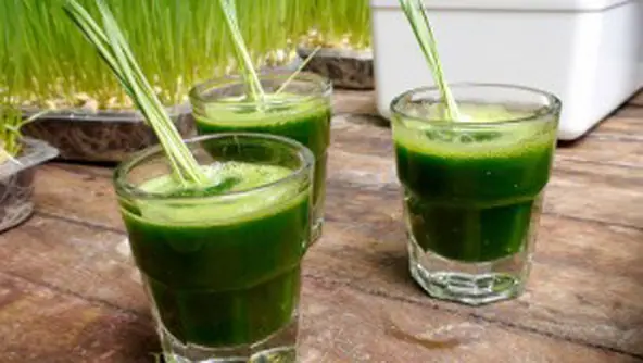 Tomar jugo de pasto, aumenta la potencia sexual