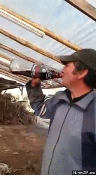 Te acordas de la rubia de American Pie?