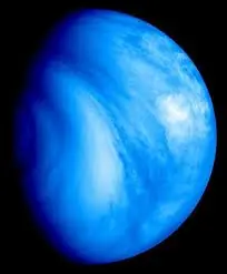 Venus Venus