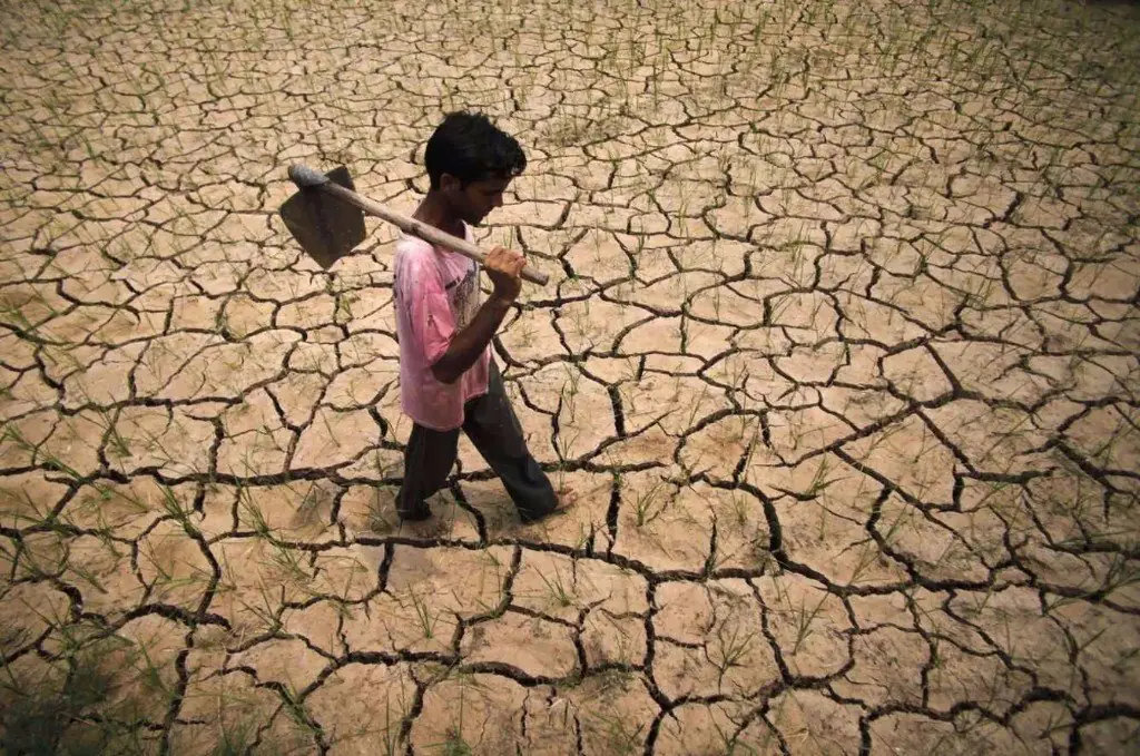 Esto pasa en La Tierra cada 24 horas por el cambio climático
