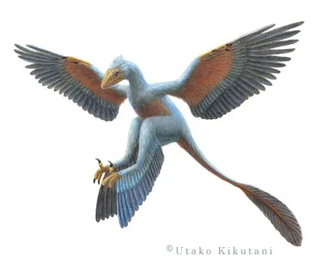 dinosaurios emplumados