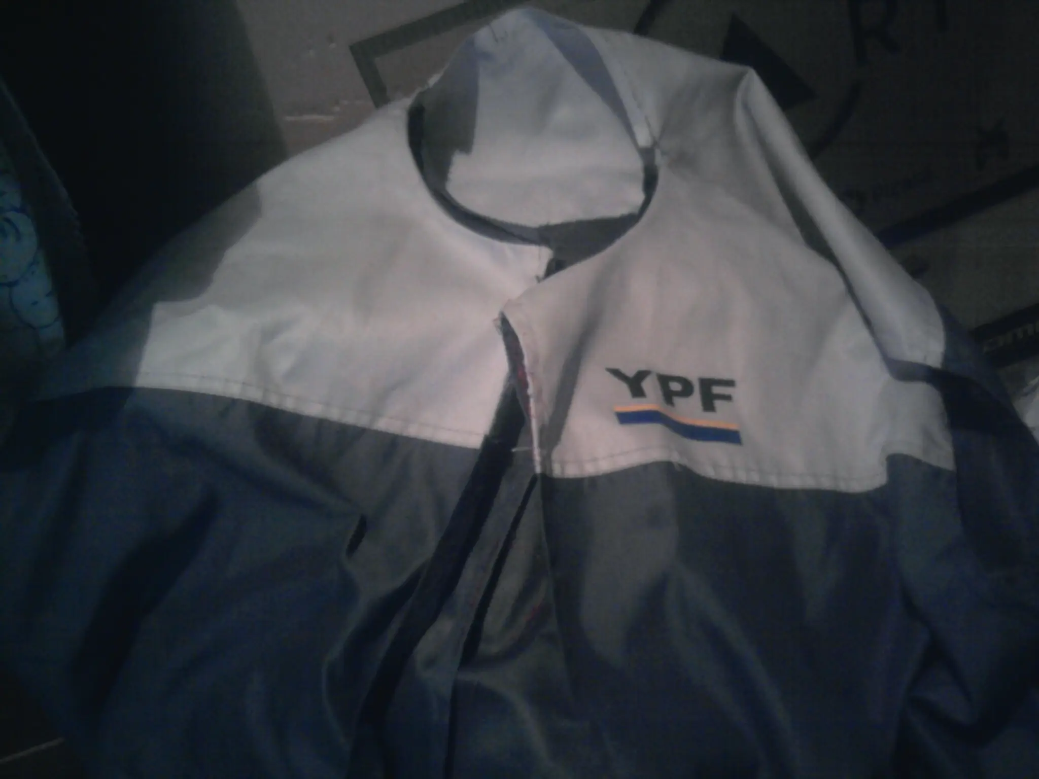Me hice la campera de Marty Mcfly 2015 con 100$