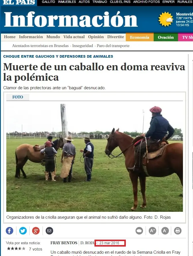 manifestantes manifestantes