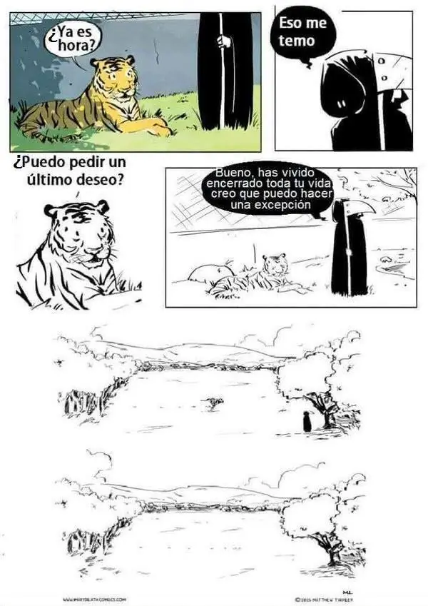 maquinola
