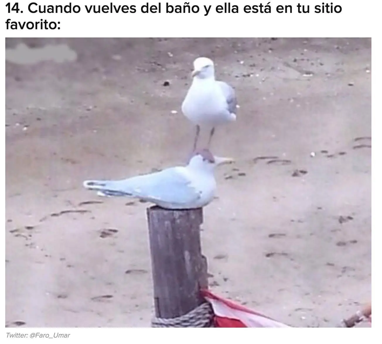 humor