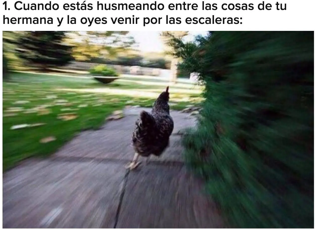 hermanas mayores