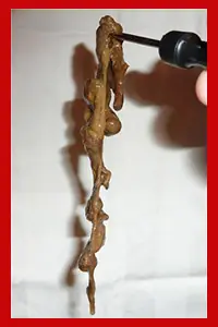 Impacto