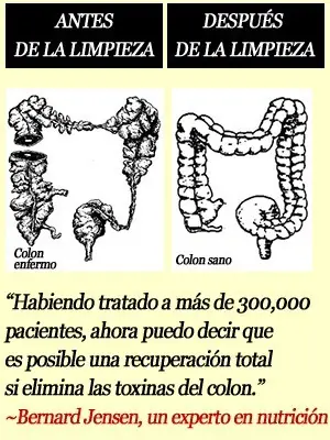 desechos desechos
