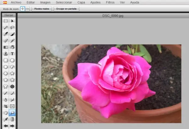 edicion edicion