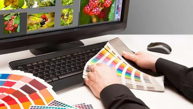 Aprende a editar tus fotos online con Sumo paint Aprende a editar tus fotos online con Sumo paint