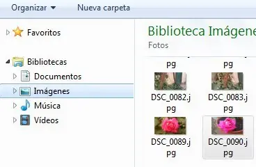 fotografias fotografias