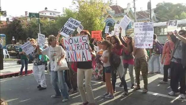 prado prado