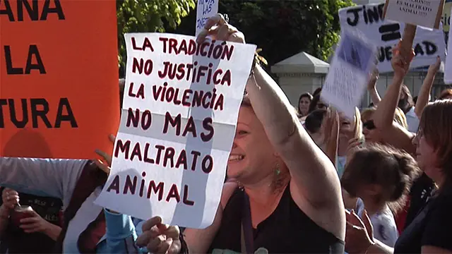 maltrato animal maltrato animal