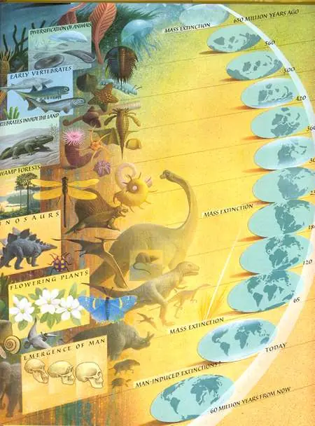 prehistoria prehistoria
