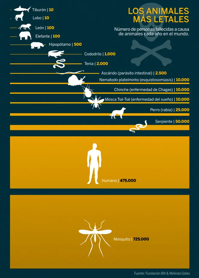 ¿Cuál es el animal más mortífero para la especie humana?