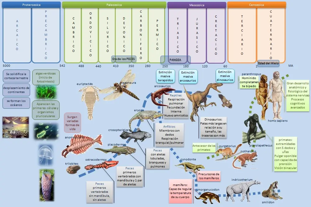 prehistoria prehistoria