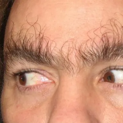 RealNavegant