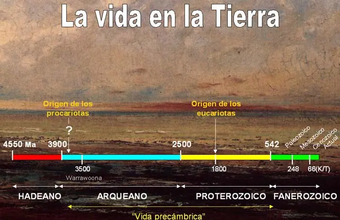 eRa eRa