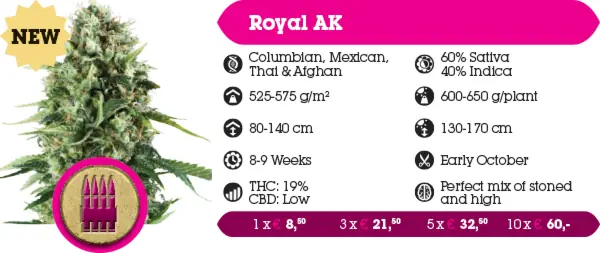 cannabis