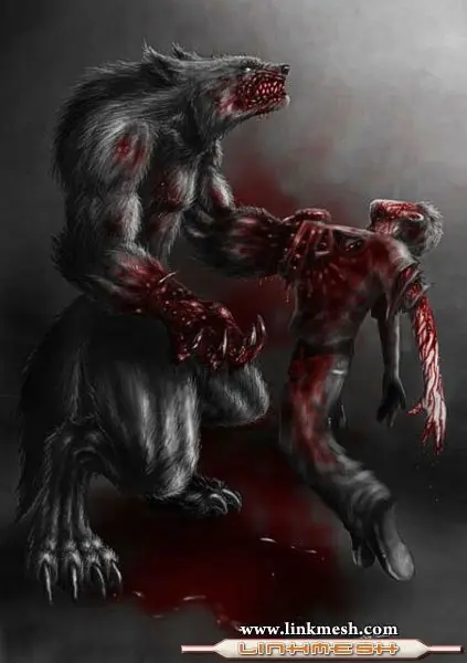 Hombres Lobos, Mujer Loba, Lobizón.