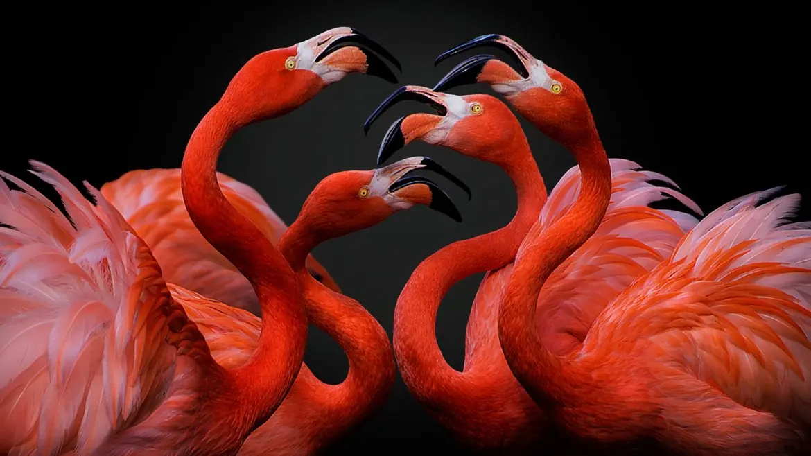 Las mejores fotos del Sony World 2016 Las mejores fotos del Sony World 2016