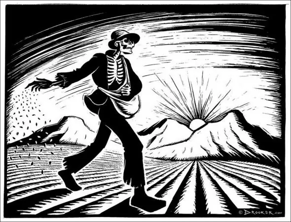 ilustraciones