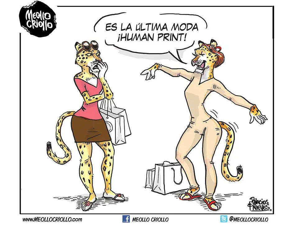 amor