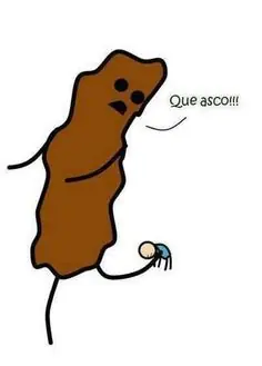imagenes