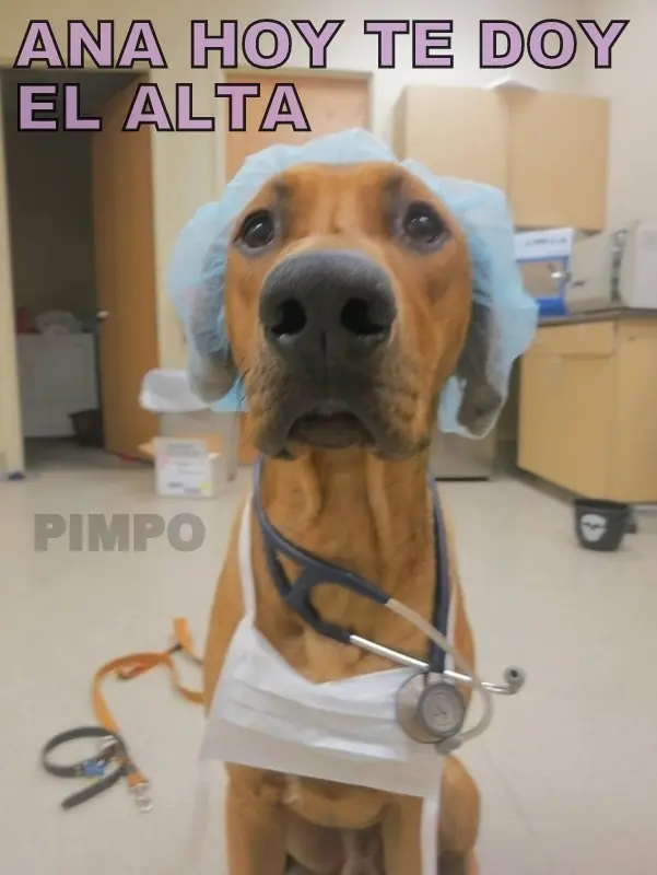 imagenes