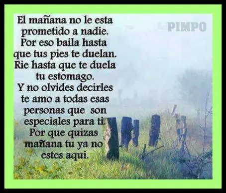 frases de la vida