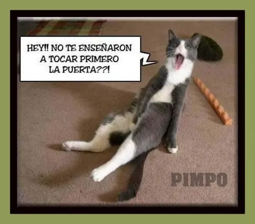 imagenes