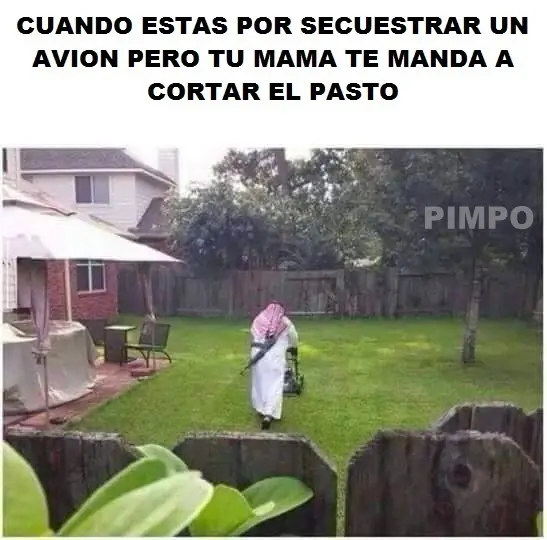 imagenes