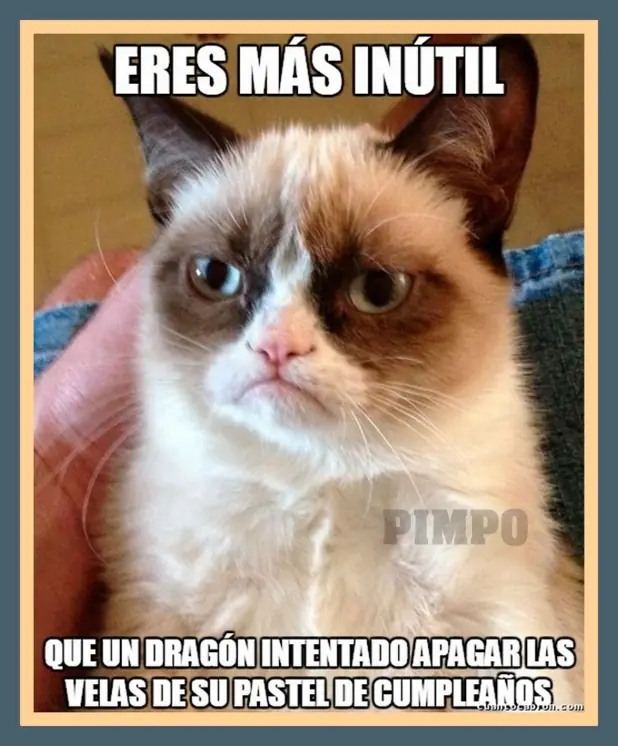 humor grafico