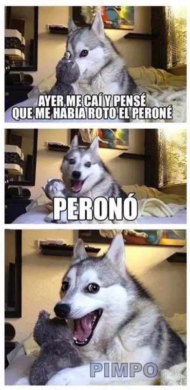 frases de la vida