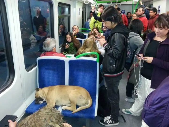 imagenes paraa reir