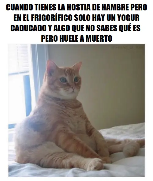 Imágenes Graciosas XXVII