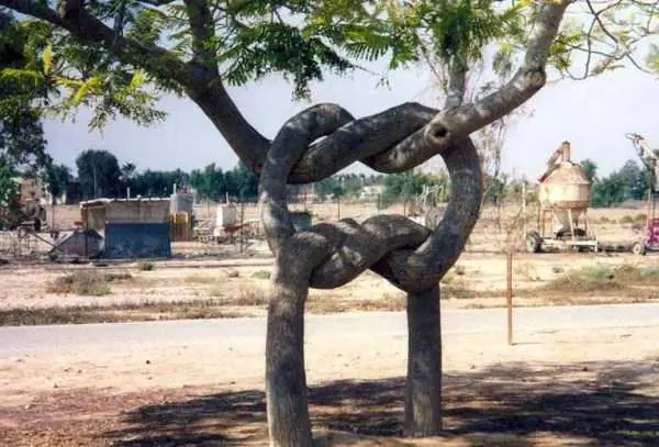 gracioso