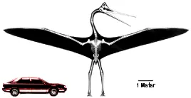 Quetzalcoatlus, el gigante del cielo Y El deinonychus.