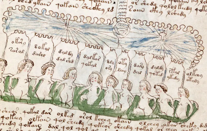 Códice Voynich El manuscrito sin descifrar