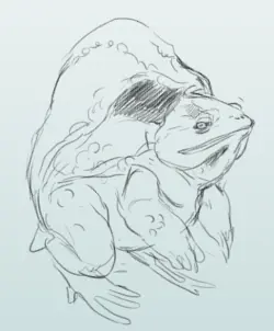 Hiper Realismo: Pokémon.
