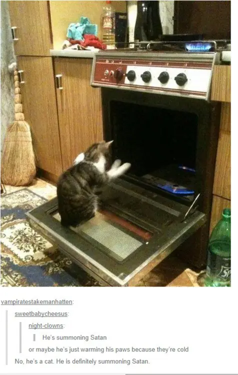 Imagenes y gifs random [alto crap]