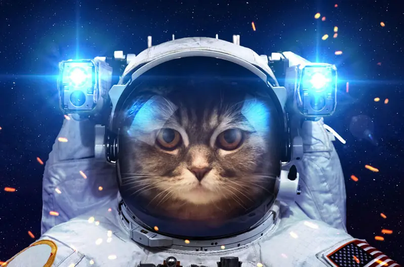 astronautas