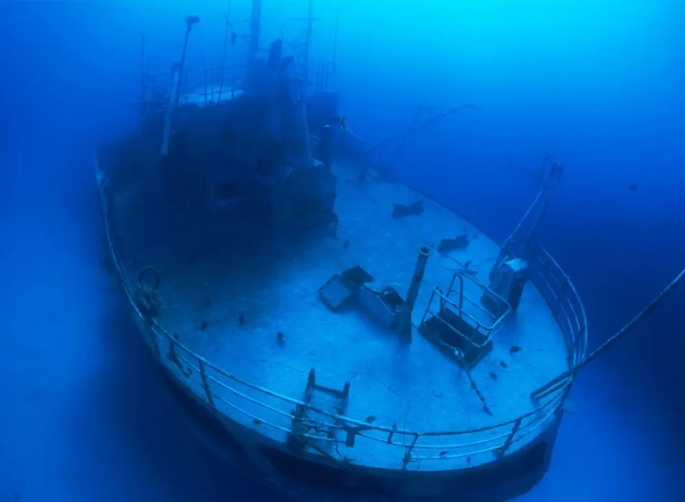 barcos