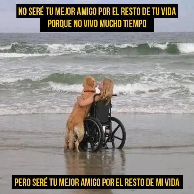 noche
