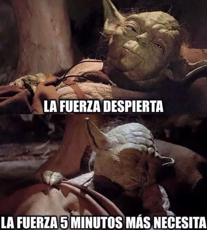 noche