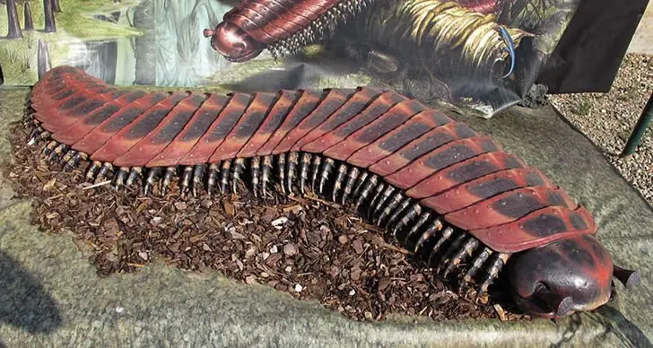 6 Datos de la Tierra primitiva que no son ficción.